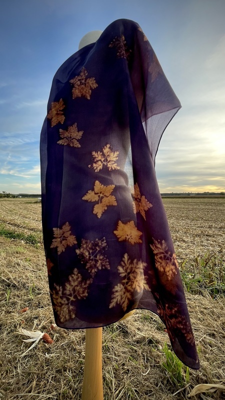 Photo de VRAI 