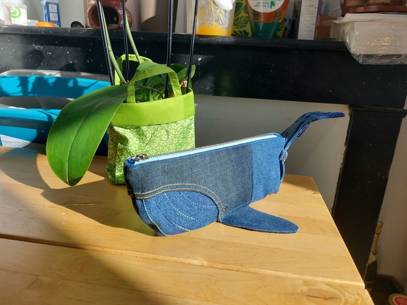 Photo de Œcophylla 