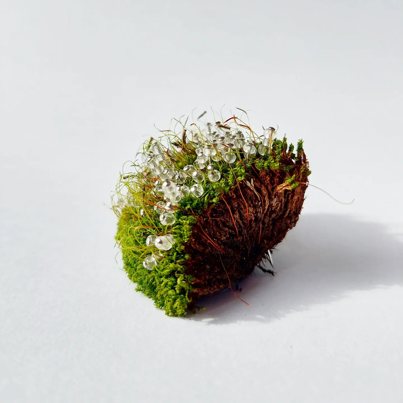 Photo de Sarah Tollec 